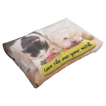 Load image into Gallery viewer, Love the one your with Pet Pillow
