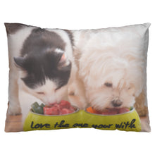Load image into Gallery viewer, Love the one your with Pet Pillow
