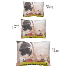 Load image into Gallery viewer, Love the one your with Pet Pillow
