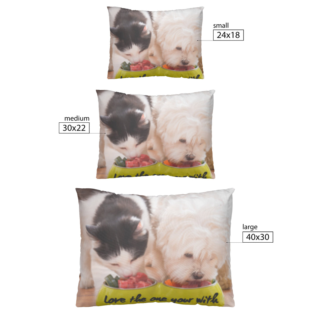 Love the one your with Pet Pillow
