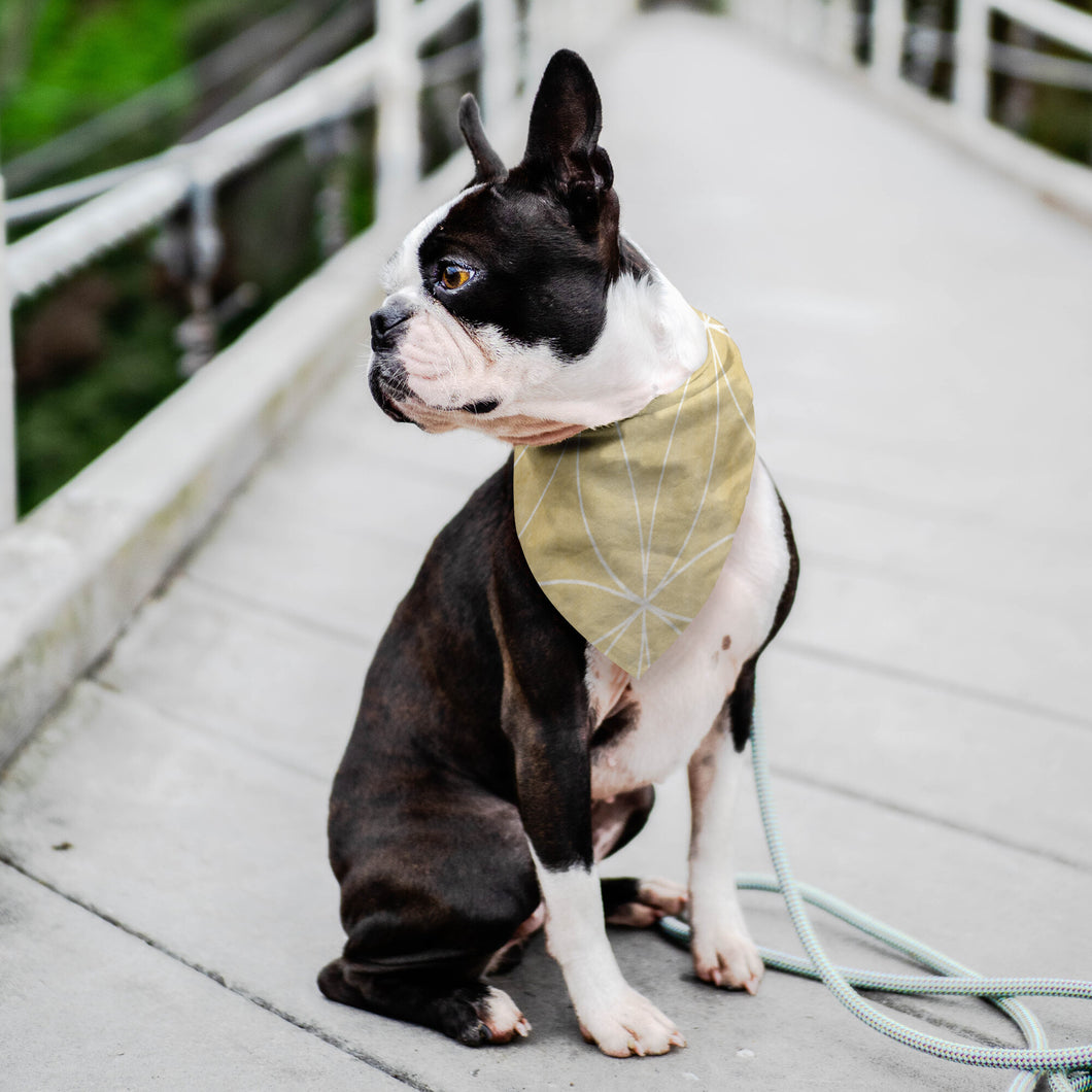 Seed of life Pet Bandana