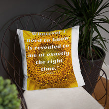 Load image into Gallery viewer, Whatever I need to know is revealed to me at exactly the right time basic Pillow

