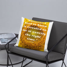 Load image into Gallery viewer, Whatever I need to know is revealed to me at exactly the right time basic Pillow
