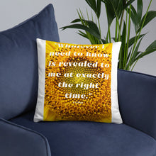 Load image into Gallery viewer, Whatever I need to know is revealed to me at exactly the right time basic Pillow
