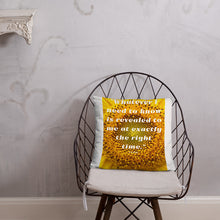 Load image into Gallery viewer, Whatever I need to know is revealed to me at exactly the right time basic Pillow
