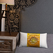 Load image into Gallery viewer, Whatever I need to know is revealed to me at exactly the right time basic Pillow
