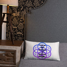 Load image into Gallery viewer, I am in the process of positive change basic Pillow

