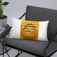 Load image into Gallery viewer, Whatever I need to know is revealed to me at exactly the right time basic Pillow
