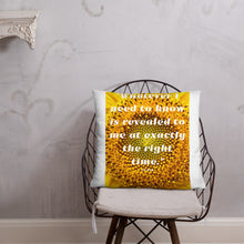 Load image into Gallery viewer, Whatever I need to know is revealed to me at exactly the right time basic Pillow
