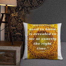 Load image into Gallery viewer, Whatever I need to know is revealed to me at exactly the right time basic Pillow

