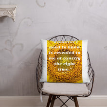 Load image into Gallery viewer, Whatever I need to know is revealed to me at exactly the right time basic Pillow
