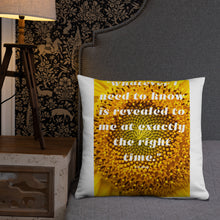 Load image into Gallery viewer, Whatever I need to know is revealed to me at exactly the right time basic Pillow
