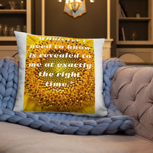 Load image into Gallery viewer, Whatever I need to know is revealed to me at exactly the right time basic Pillow
