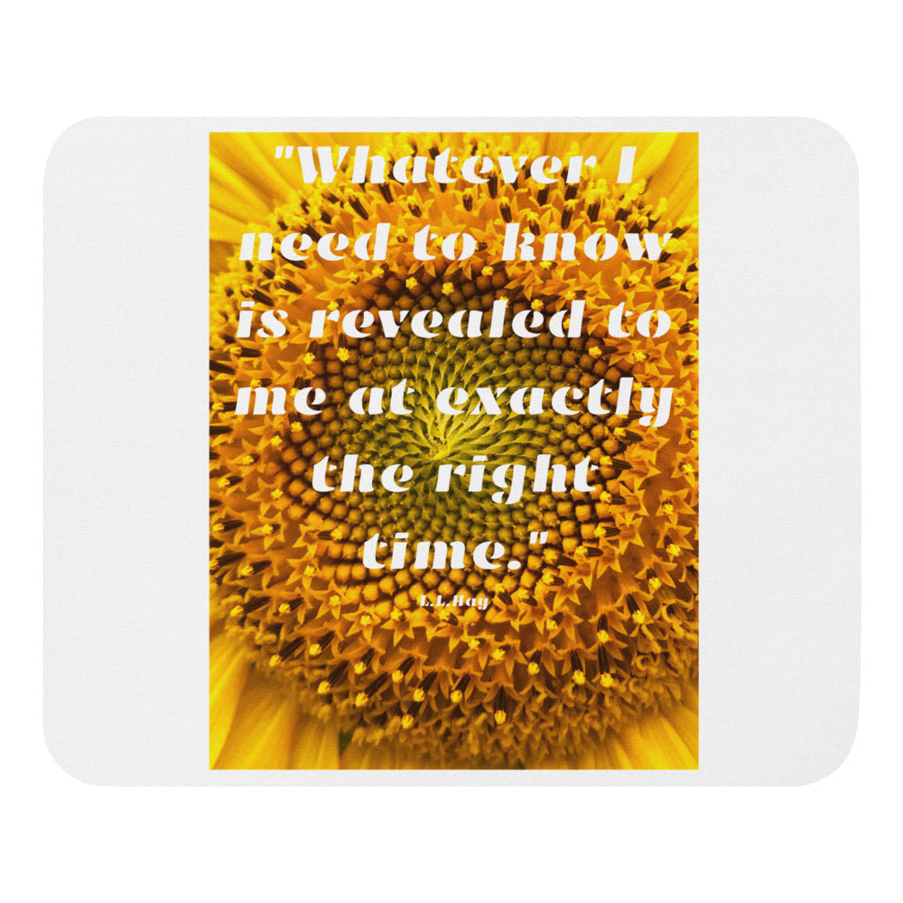 Whatever I need to know is revealed to me at exactly the right time mouse pad